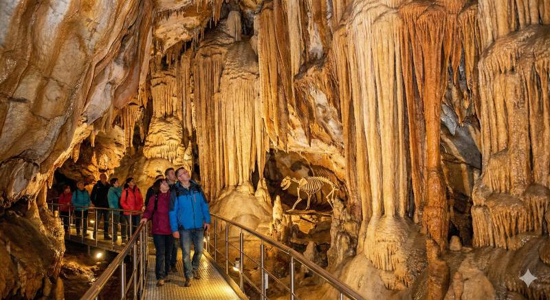 Formacje skalne i nacieki w Jaskini Niedźwiedziej